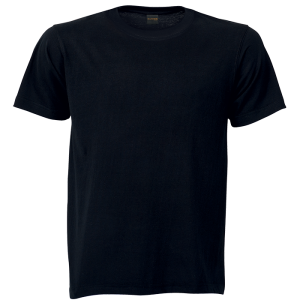 170g Barron Combed Cotton Crew Neck T-Shirt (TST170B)