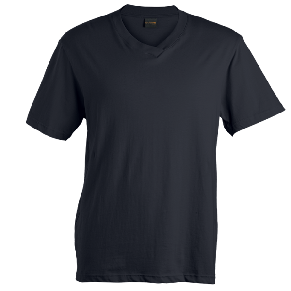 180g Barron V-Neck T-Shirt (TSV180B)