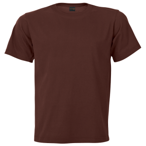 160g Barron Crew Neck T-Shirt (TST160B)